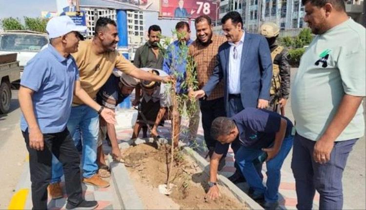 إطلاق مشروع تشجير الطريق البحري في المنصورة