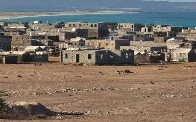 الصحة العالمية: الإمدادات الطبية التي أُرسلت لغزة قطرة في محيط الاحتياجات