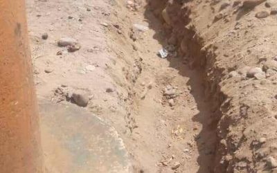 الجمعية التعاونية لتسويق المنتجات الزراعية والخدمات محافظة أبين تناشد السلطة المحلية حماية  ممتلكاتها من العابثين