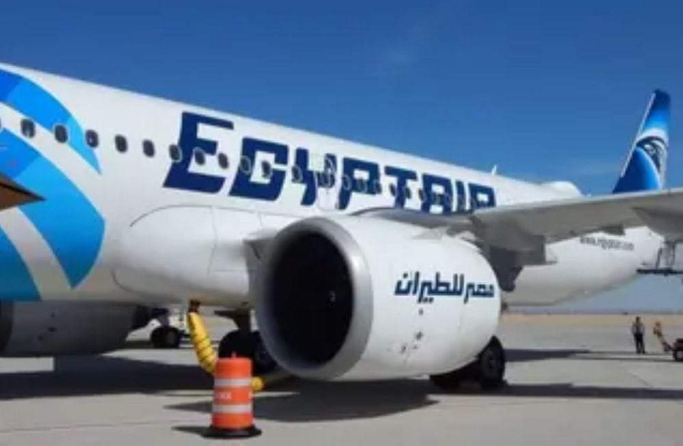الطيور تلغي إقلاع طائرة مصرية.. وتنزل الركاب