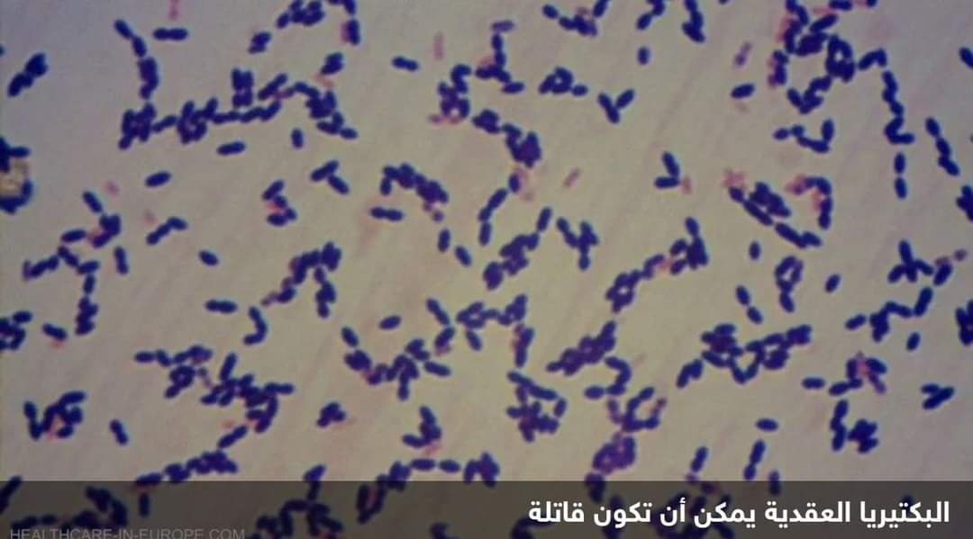 اليابان.. انتشار قياسي لبكتيريا قاتلة والحكومة تفتش عن السبب