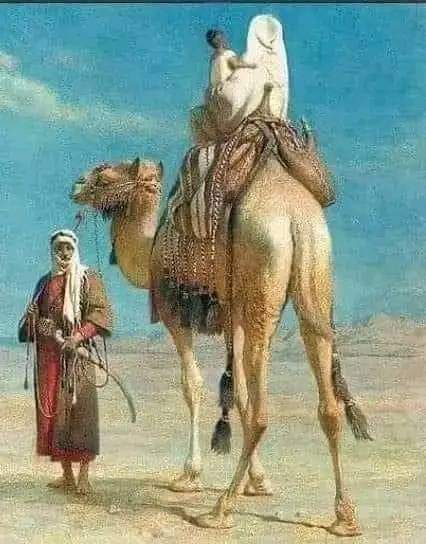 كلام قالته العرب ..  روائع الشعر العربي