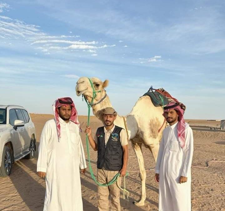 رحلة عام الإبل تستأنف مسيرها بفضل كرم قبائل نهد