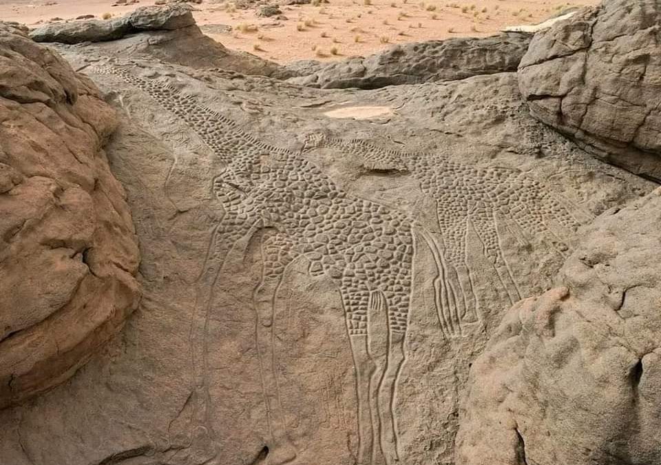 وفي جمهورية النيجر في الصحراء الكبرى توجد صور واقعية للزرافات على الصخور