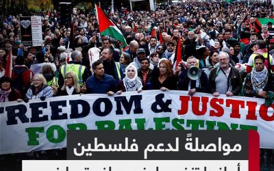 أيرلندا تعلن انضمامها الى جنوب إفريقيا في القضية المرفوعة ضد إسرائيل أمام محكمة العدل الدولية فيما يتعلق بالإبادة في غزة