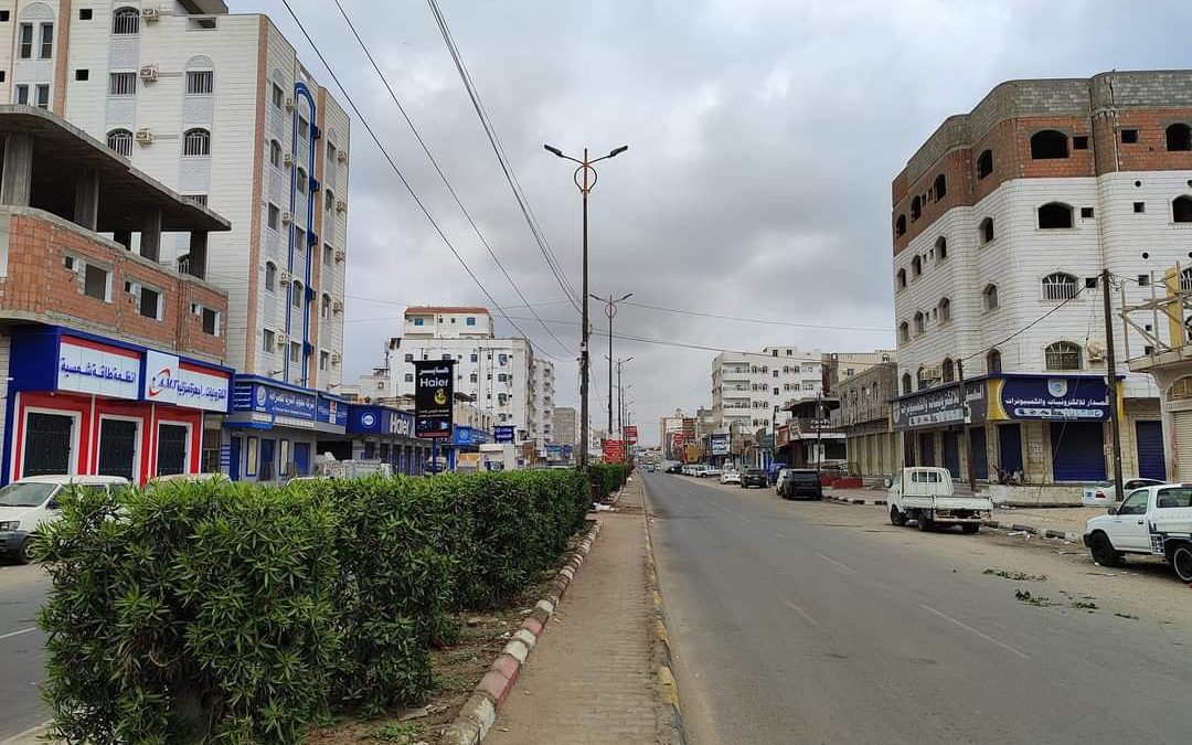 روعة التشجير بأشكاله الإبداعية في العاصمة عدن