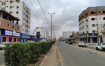 روعة التشجير بأشكاله الإبداعية في العاصمة عدن