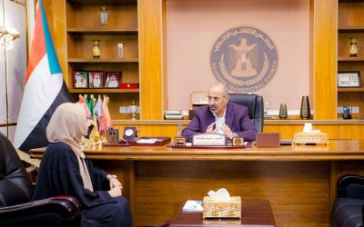 الرئيس الزُبيدي يطّلع على نشاط منظمة “يمن آيد” الأمريكية وتدخلاتها في الجانبين التنموي والاقتصادي