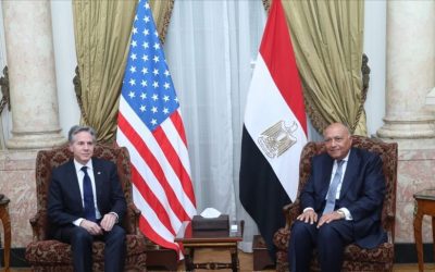 شكري وبلينكن يبحثان جهود التوصل لهدنة بغزة “في أقرب وقت”