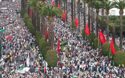 المغرب.. 100 مظاهرة في 48 مدينة دعما لغزة