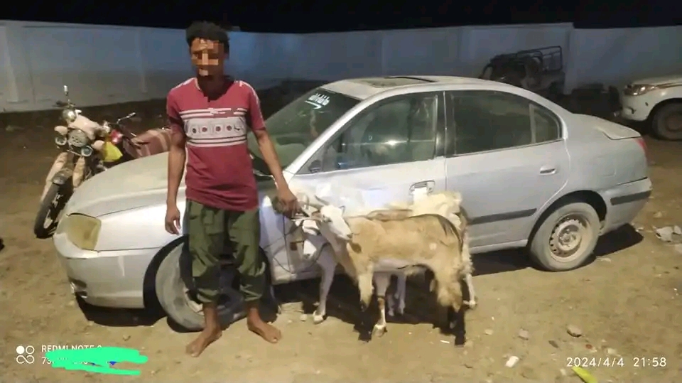 أمن مديرية خنفر يلقي القبض على عصابة تمتهن سرقة  المواشي