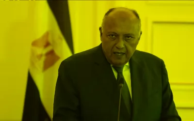 مصر: تحرك عربي جديد لدعم الاعتراف بفلسطين في الأمم المتحدة