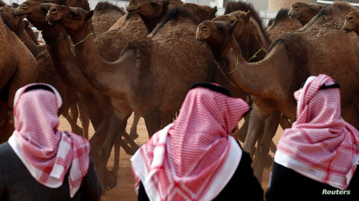 تأهب صحي في السعودية بسبب مرض مرتبط بفيروس كورونا
