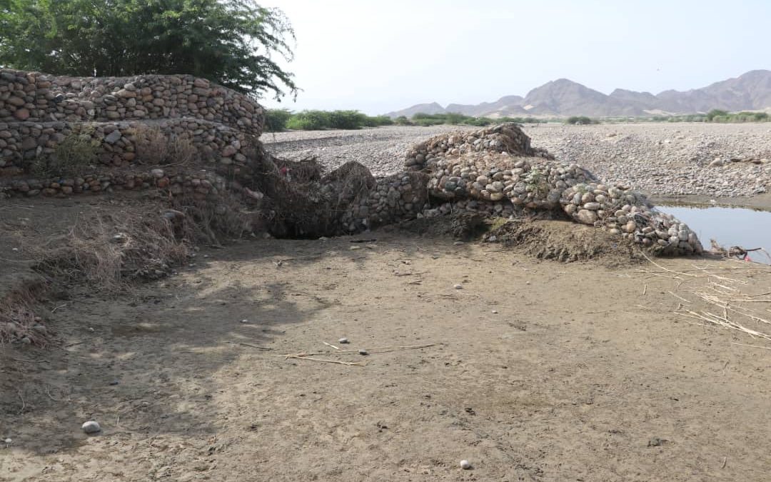 قبل قليل  .. سيول حسان تودي بحياة الشاب فهيم امشقي