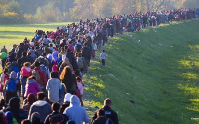 زيادة كبرى بأعداد المجنسين في ألمانيا.. وجنسيتان عربيتان على رأس القائمة