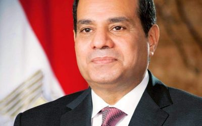 السيسي يفكر في محاصيل “أكثر ربحا” من القمح