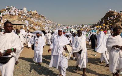قضية الحجاج.. مصر تتخذ قرارات بشأن الشركات المتورطة في “التحايل”