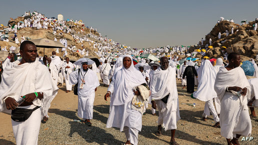 قضية الحجاج.. مصر تتخذ قرارات بشأن الشركات المتورطة في “التحايل”