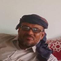 يافع صقور ابين الجارحة