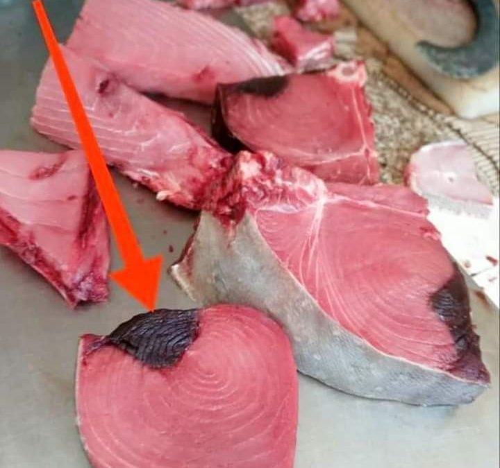 سر اللون الأسود في سمك التونة ( الثمد )