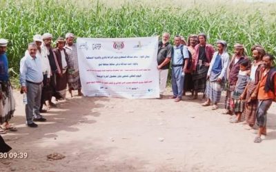وكيل وزارة الزراعة والاسماك يدشن اليوم الحقلي لمحصول الذرة الرفيعة في منطقة امجردوف بلحج