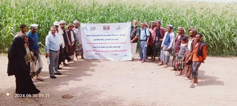 وكيل وزارة الزراعة والاسماك يدشن اليوم الحقلي لمحصول الذرة الرفيعة في منطقة امجردوف بلحج