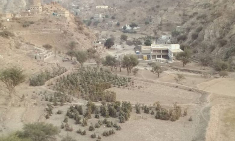 الجفاف يضرب مديرية سرار والأهالي يطلقون نداءاستغاثة
