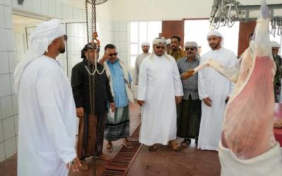 محافظ أرخبيل سقطرى يدشن توزيع أضاحي عيد الأضحى لأهالي الأرخبيل
