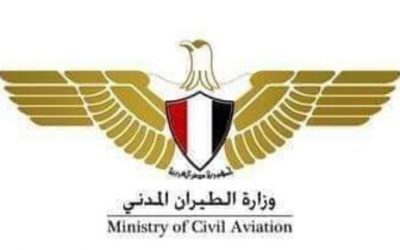 مصر تنفي سقوط طائرة ومصرع جميع ركابها