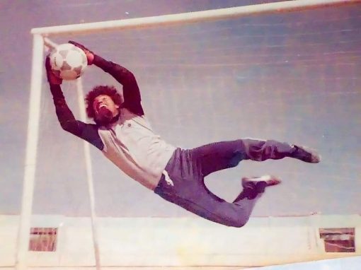 حارس أمين في وضع الطيران