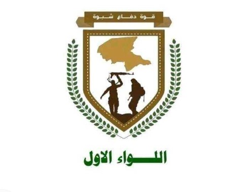 قوات دفاع شبوة تعلن مقتل عددًا من العناصر الإرهابية في منطقة المصينعة