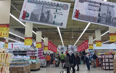 مصر.. ضبط أطنان من اللحوم والأسماك الفاسدة خلال أغسطس