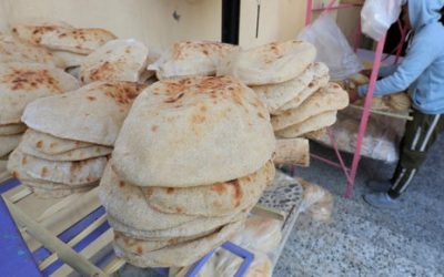 لأسباب اقتصادية وسياسية.. مصر تسعى لشراء “أكبر كمية قمح” في تاريخها