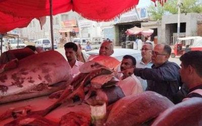 حملة رقابية على أسعار بيع الأسماك في المنصورة
