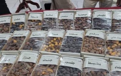 أعلن خلالة عن زراعة 1000 نخله ضمن مشروع تحسين مدينة سيئون تدشين معرض النخيل والتمور