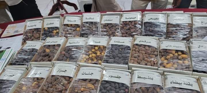 أعلن خلالة عن زراعة 1000 نخله ضمن مشروع تحسين مدينة سيئون تدشين معرض النخيل والتمور