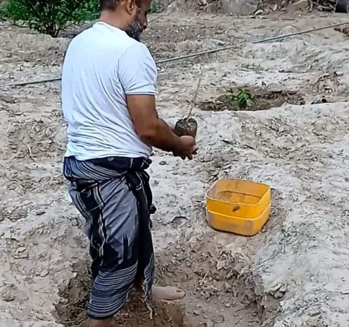 مدير الزراعة والري مديرية يهر يُدشن غرس (150) شتلة بُن.