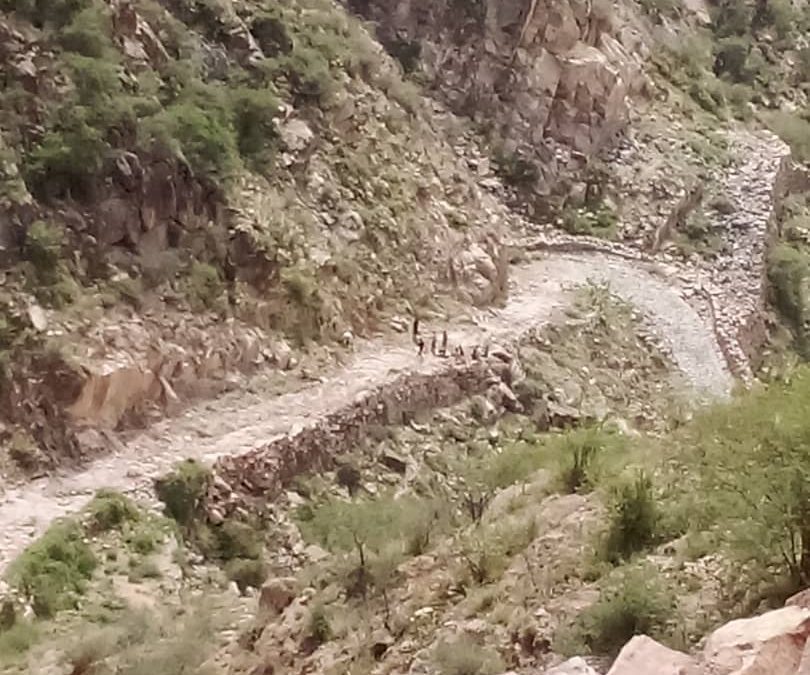 طريق جبل ربض  مشألة –  يهر تتعرض لإنجراف سيول الأمطار