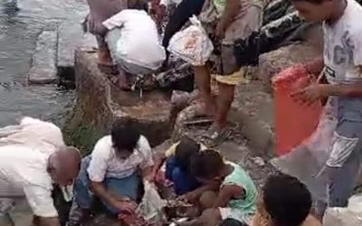 حضرموت .. صيادون يوزعون سمك الساردين على سكان المكلابالمجان بعد غلو اسعاره