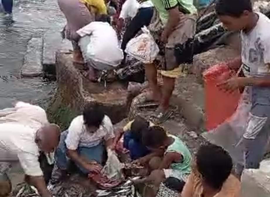 حضرموت .. صيادون يوزعون سمك الساردين على سكان المكلابالمجان بعد غلو اسعاره