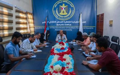 تنفيذية منسقية انتقالي جامعة حضرموت تناقش أداء فرق العمل الأكاديمي في كليات الجامعة