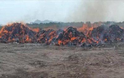 إتلاف ست حاويات أدوية في عدن اُستوردت بصورة مخالفة
