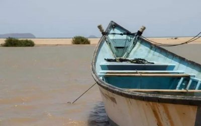 وفاة وفقدان 177 مهاجراً قبالة سواحل جيبوتي بعد إجبارهم على النزول في عرض البحر