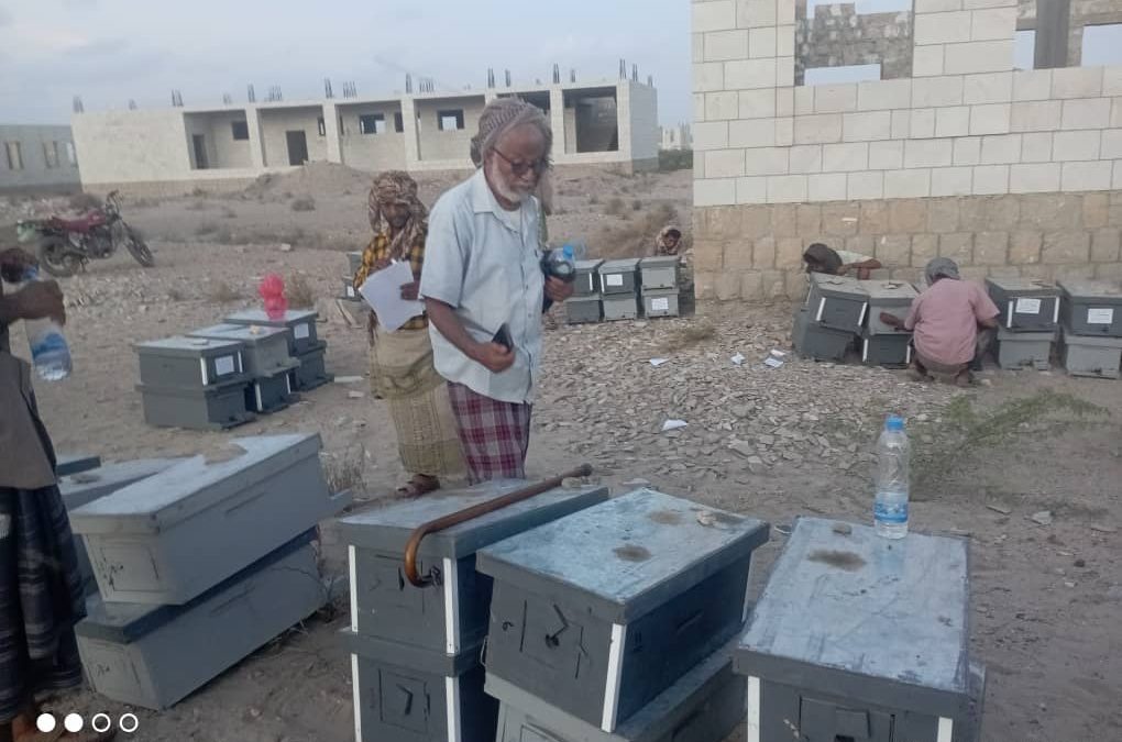 الصندوق الاجتماعي للتنمية فرع عدن يقوم بتوزيع خلايا نحل على المستفيدين في مديرية أحور