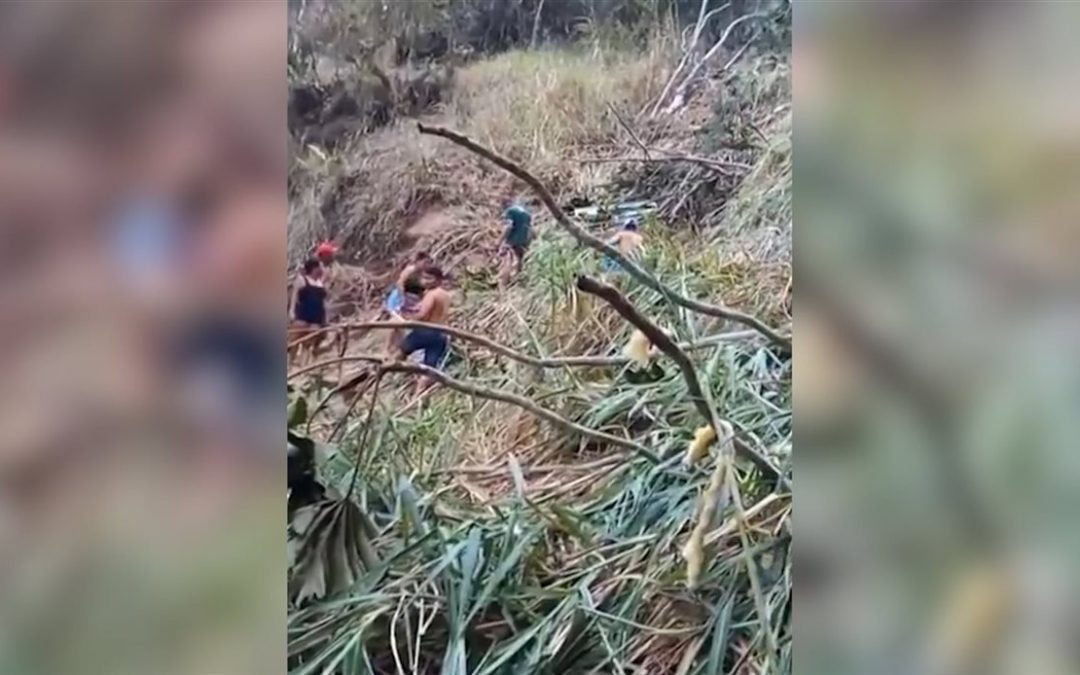 وفاة 17 شخص بسقوط حافلة في وادي بالبرازيل