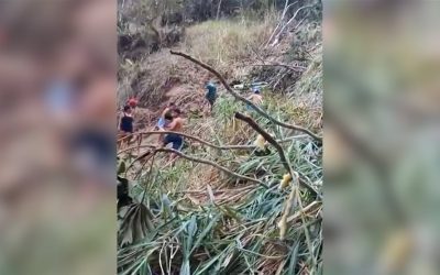 وفاة 17 شخص بسقوط حافلة في وادي بالبرازيل