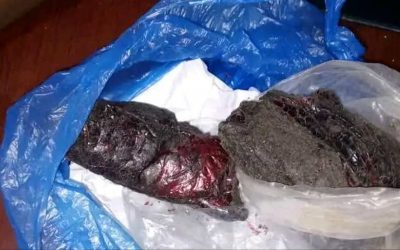 ضبط شخصين بحوزتهما نصف كيلو جرام من الحشيش المخدر في شبوة