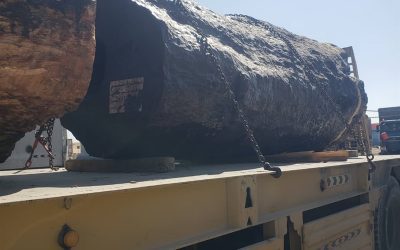 ضبط كمية كبيرة من الحشيش المخدر في المهرة