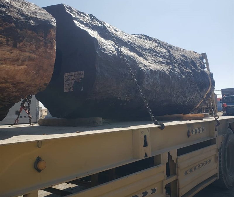 ضبط كمية كبيرة من الحشيش المخدر في المهرة