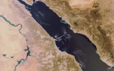 الحوثيون يهاجمون سفينة “تركية” قبالة اليمن وصحيفة تركية تقول إنها كانت في طريقها إلى باكستان